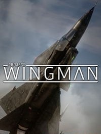 скрин Project Wingman