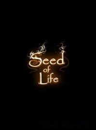 скрин Seed of Life